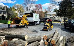 Best Seasonal Cleanup (Spring/Fall)  in Pixley, CA